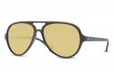 Ray Ban RB 4125