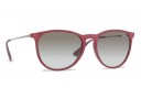 Ray Ban Erika RB 4171