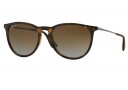 Ray-Ban RB 4171 polarisée