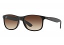 Ray Ban RB 4202