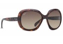 Ray Ban RB 4208