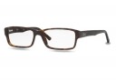 Ray-Ban RX5169 Large