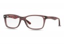 Ray-Ban RX5228