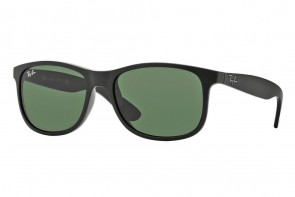 Ray Ban RB 4202