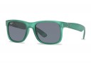 Ray Ban Justin RB 4165