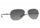 Ray Ban RB 8301 Large - Polarisée