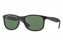 Ray Ban RB 4202