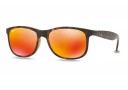 Ray-Ban RB4202 polarisée