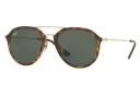 Ray-Ban RB 4253 Large