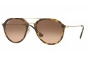 Ray-Ban RB 4253 Large