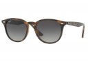 Ray-Ban RB 4259