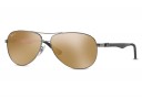 Ray Ban RB 8313 Large Polarisée