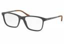 Ralph Lauren RL 6173