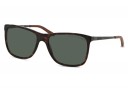 Ralph Lauren RL 8133Q 