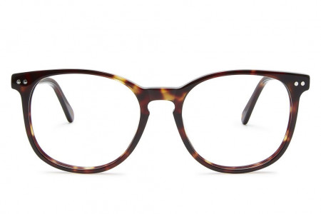 Lunettes de vue LARENA 50mm Moonlight Tortoise, vue de face