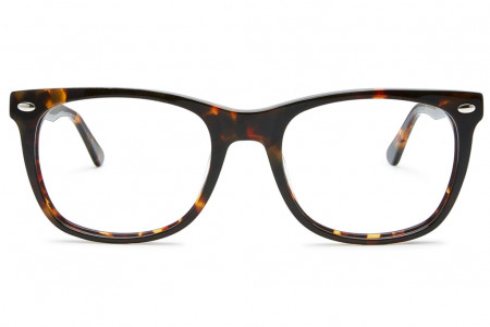 Lunettes de vue MURRAY 54mm Dusky Tortoise, vue de face