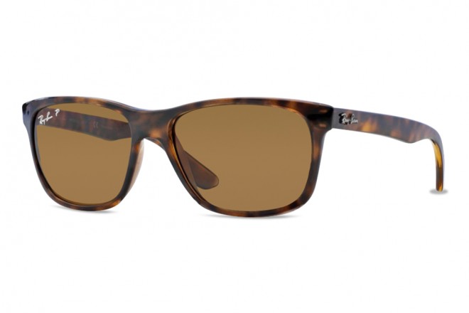 Ray ban RB 4181 Polarisée