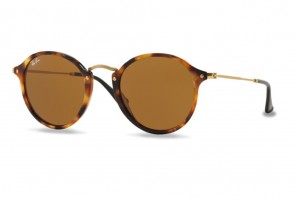 Ray-Ban RB2447 1160