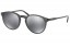 Lunettes de soleil Ralph Lauren PH4110 55366G