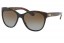 Lunettes de soleil Ralph Lauren RL 8156