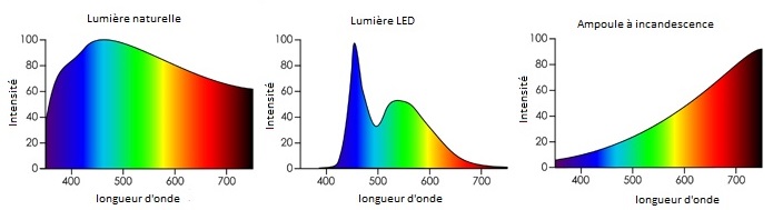 Comparaison des spectres électromagnétiques